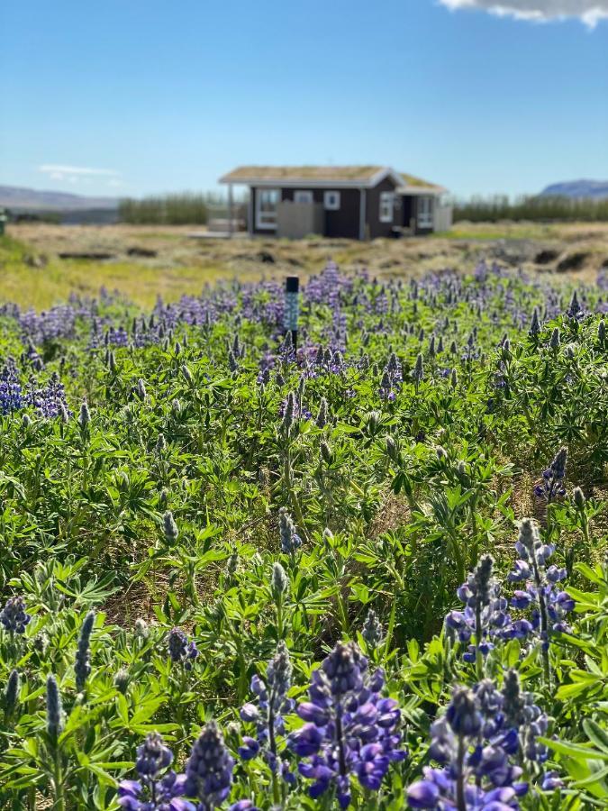 Blue View Cabin 5B With Private Hot Tub Reykholt  Extérieur photo